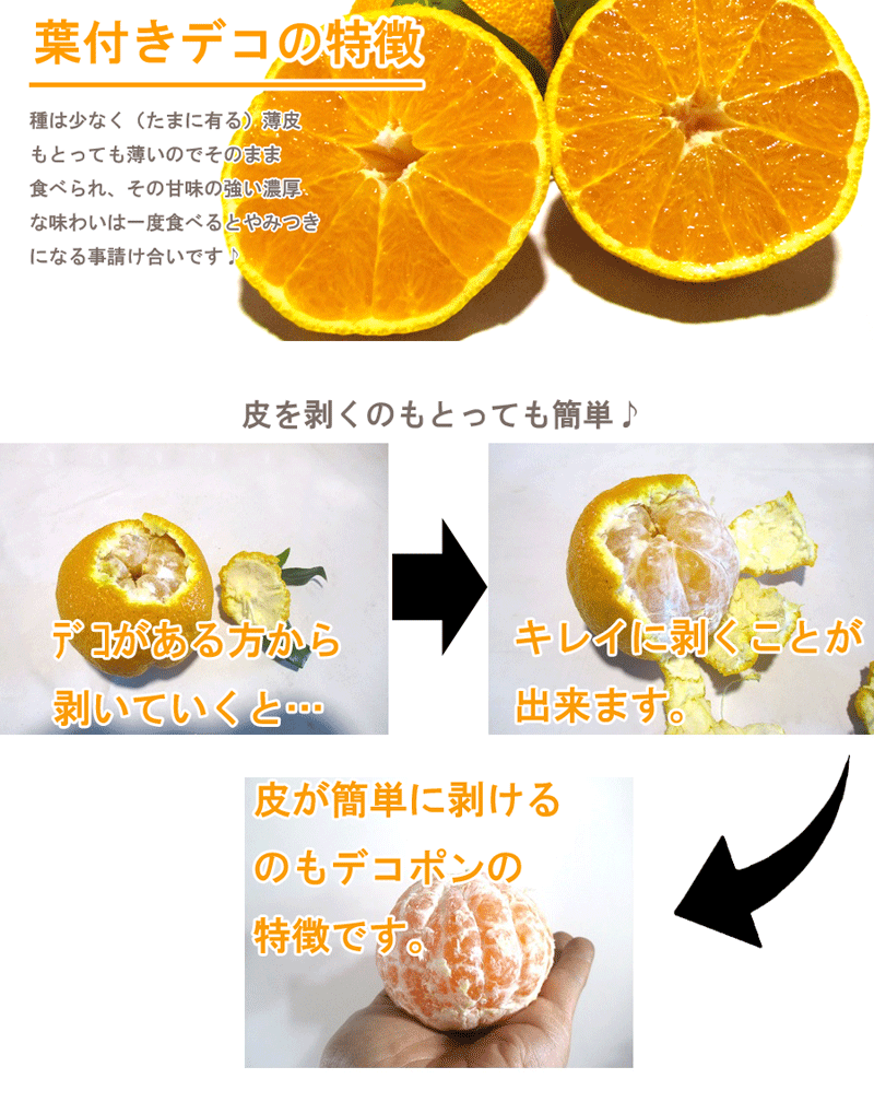 みかん 訳あり 樹上熟成 葉付きデコ 4kg 約16玉 24玉 訳あり 送料無料 一部地域除く みかん でこぽん デコポン しらぬい 140 紀州マルシゲ青果 Yahoo 店 通販 Yahoo ショッピング