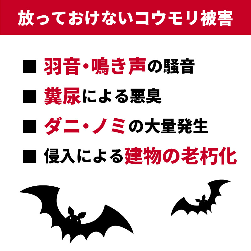 天然成分忌避剤　コウモリ、バイバイ！3