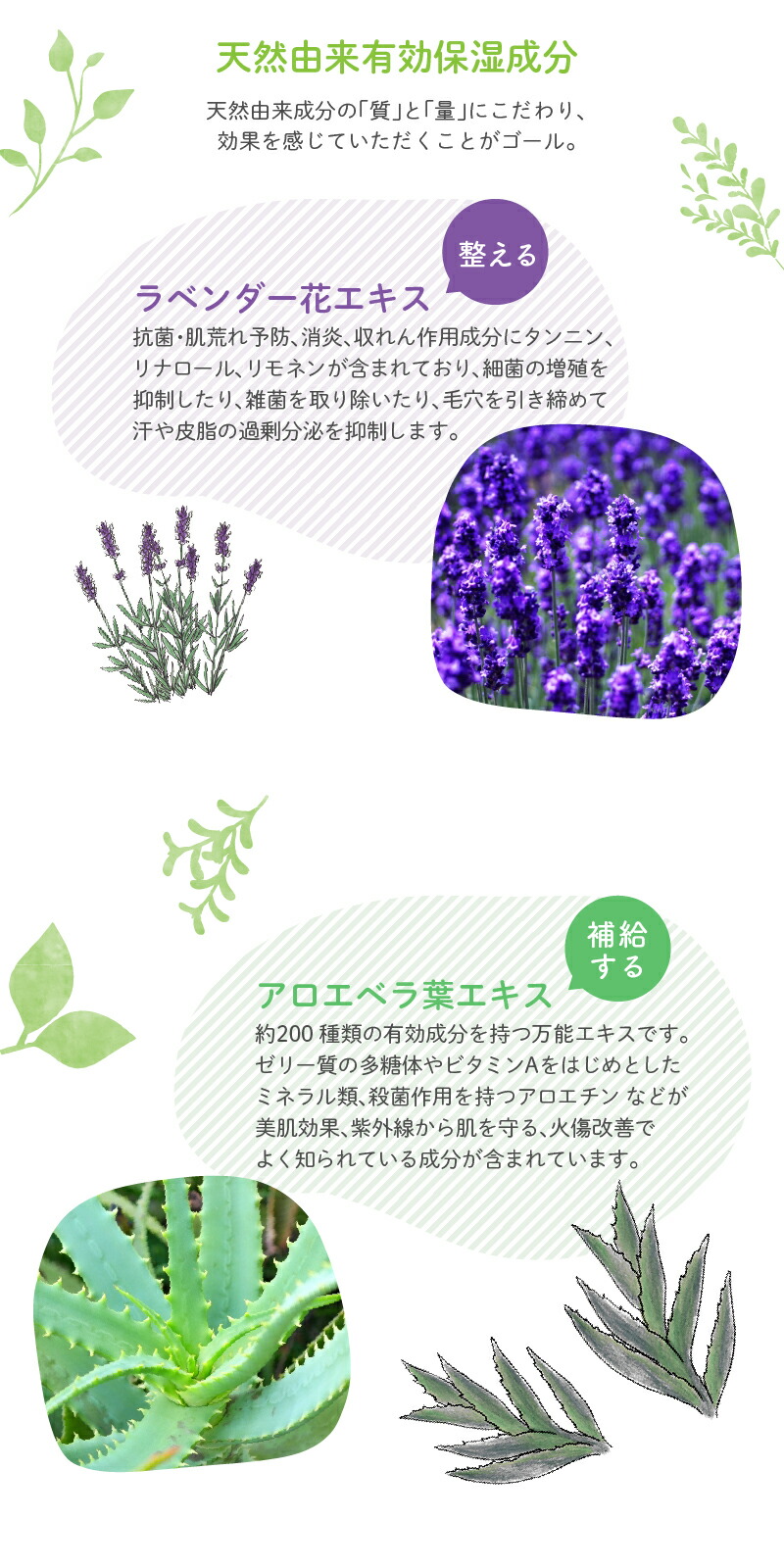 UQベビー全身ソープ　6