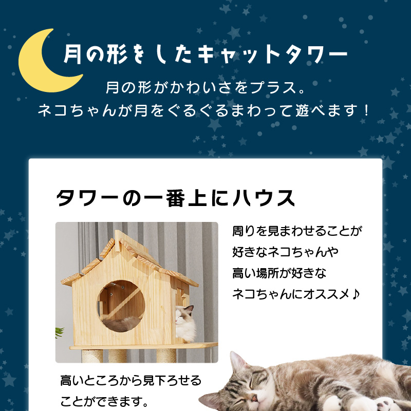 Amazon.co.jp: ハミルトンコレクション 猫の置物 ホワイト