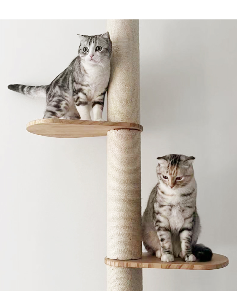キャットタワー3