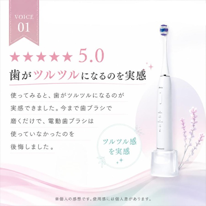 Doltz 電動歯ブラシ ドルツ パナソニック EW-DA18 ハブラシ 音波振動