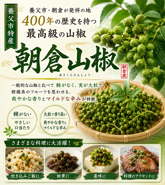 養父市特産 冷凍実山椒 500g 朝倉山椒 送料無料 あく抜き済 山椒 山椒