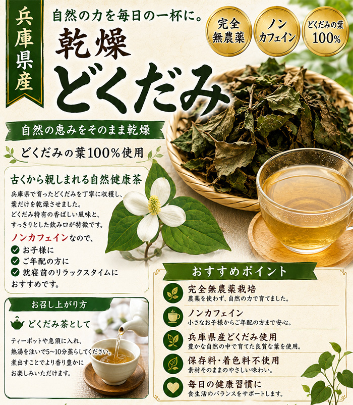 兵庫県産 乾燥どくだみ 約70g 無農薬 送料無料 ドクダミ 十薬 : 株式