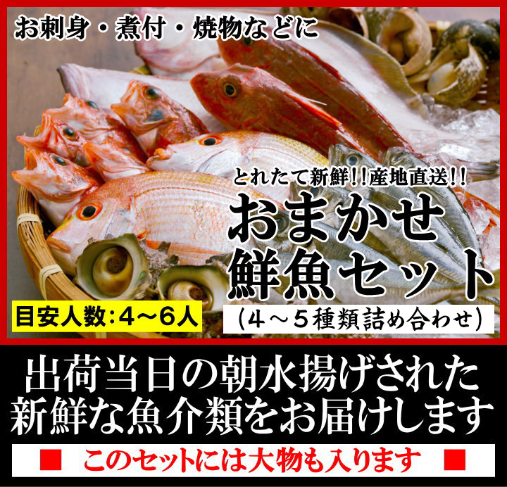 おまかせ鮮魚セット おすすめコース 4〜5種類 送料無料 海鮮ギフト 詰め合せ 日本海の鮮魚 鮮魚ボックス 鮮魚BOX 下処理 お取り寄せ 産地直送  ギフト : 00036 : 株式会社宿院商店 - 通販 - Yahoo!ショッピング