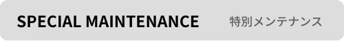 特別メンテナンス