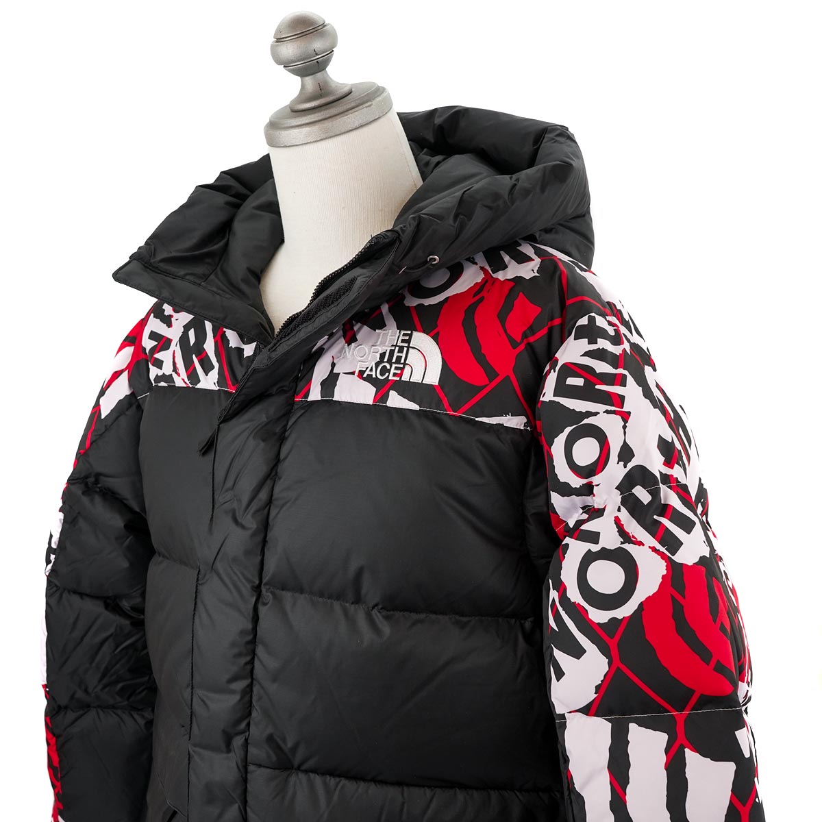 THE NORTH FACE ザ ノースフェイス ダウンジャケット NF0A5J1J PRINTED