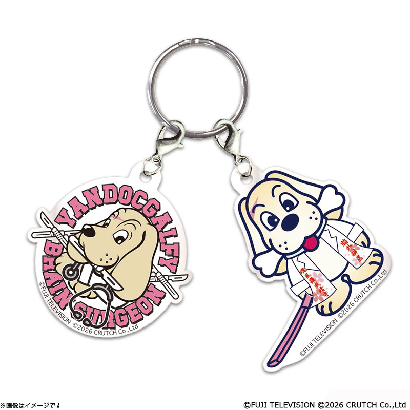 【激レア！】フジテレビ　とぶくすり　チャーム ミセス Mrs.GREENAPPLE くじ シャカシャカアクリルチャーム 藤澤