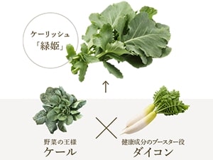 野菜のカゴメが開発した 新野菜ケーリッシュ