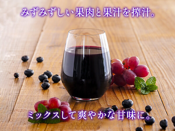ケアフルーツ ブルーベリーミックス