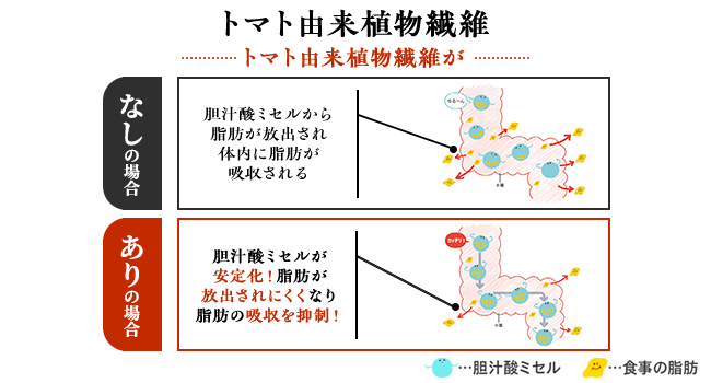 食後中性脂肪が高めの方の中性脂肪の上昇を抑えることをサポート