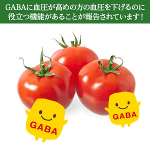 KAGOME（カゴメ） カゴメ公式 毎日飲む野菜(野菜ジュース) 160g x 30本