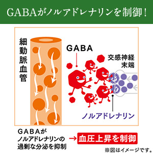 KAGOME カゴメ公式 毎日飲む野菜(野菜ジュース) 160g x 30本/1