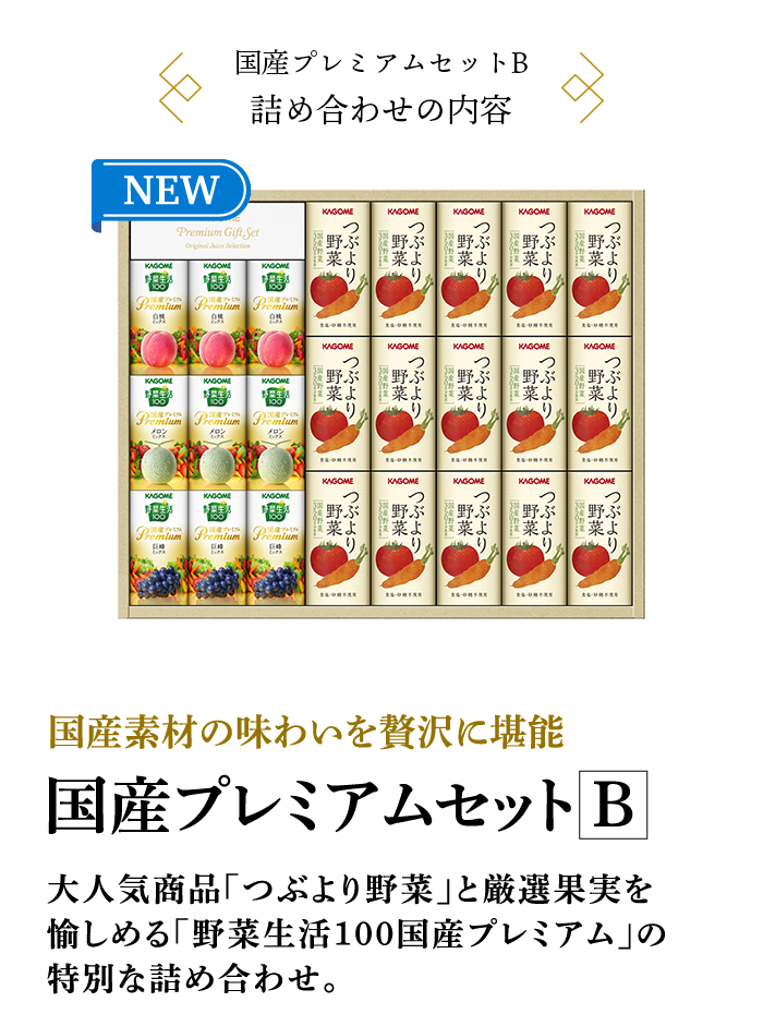 国産プレミアムセットB