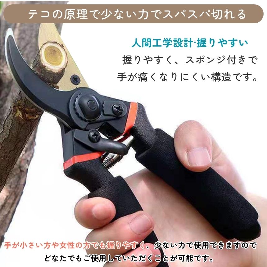 IWAYAMA 剪定鋏　美用型 LOWE ライオン 剪定鋏 強力型 プロタイプ 9104 : 葡萄館 Yahoo