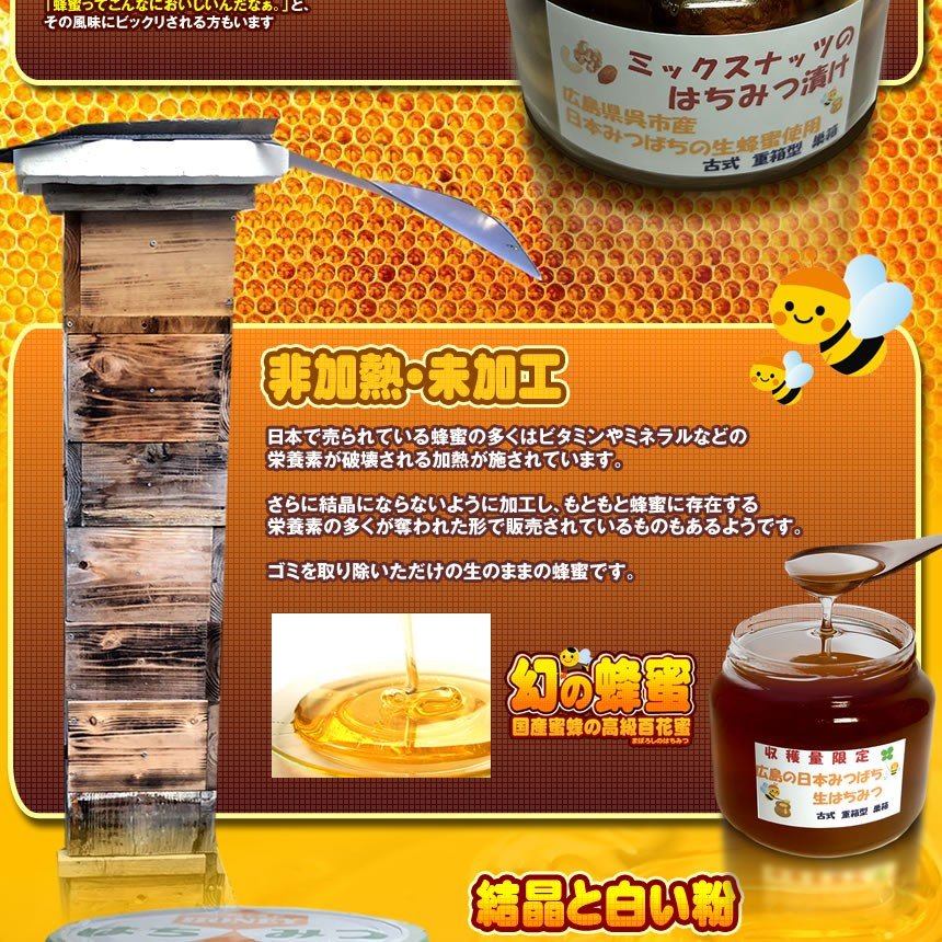 国産 天然 日本 蜜蜂 ニホン ミツバチ はちみつ 50g 80g 120g 300g