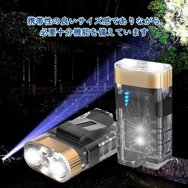 懐中電灯 充電式 小型 ブラックライト ハンディライト 作業灯 UVライト