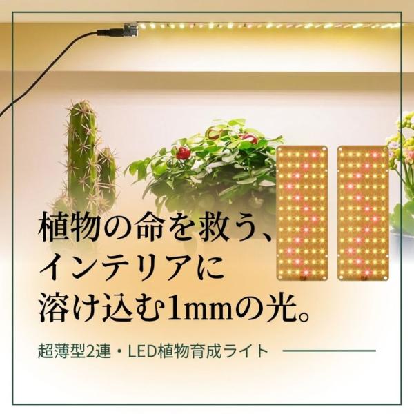 植物育成ライト LED タイマー 明るさ調整い2連 2枚 薄型 板状 板