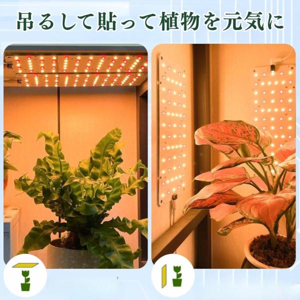 2個セット 植物育成ライト LED タイマー 明るさ調整い2連 2枚 薄型 板