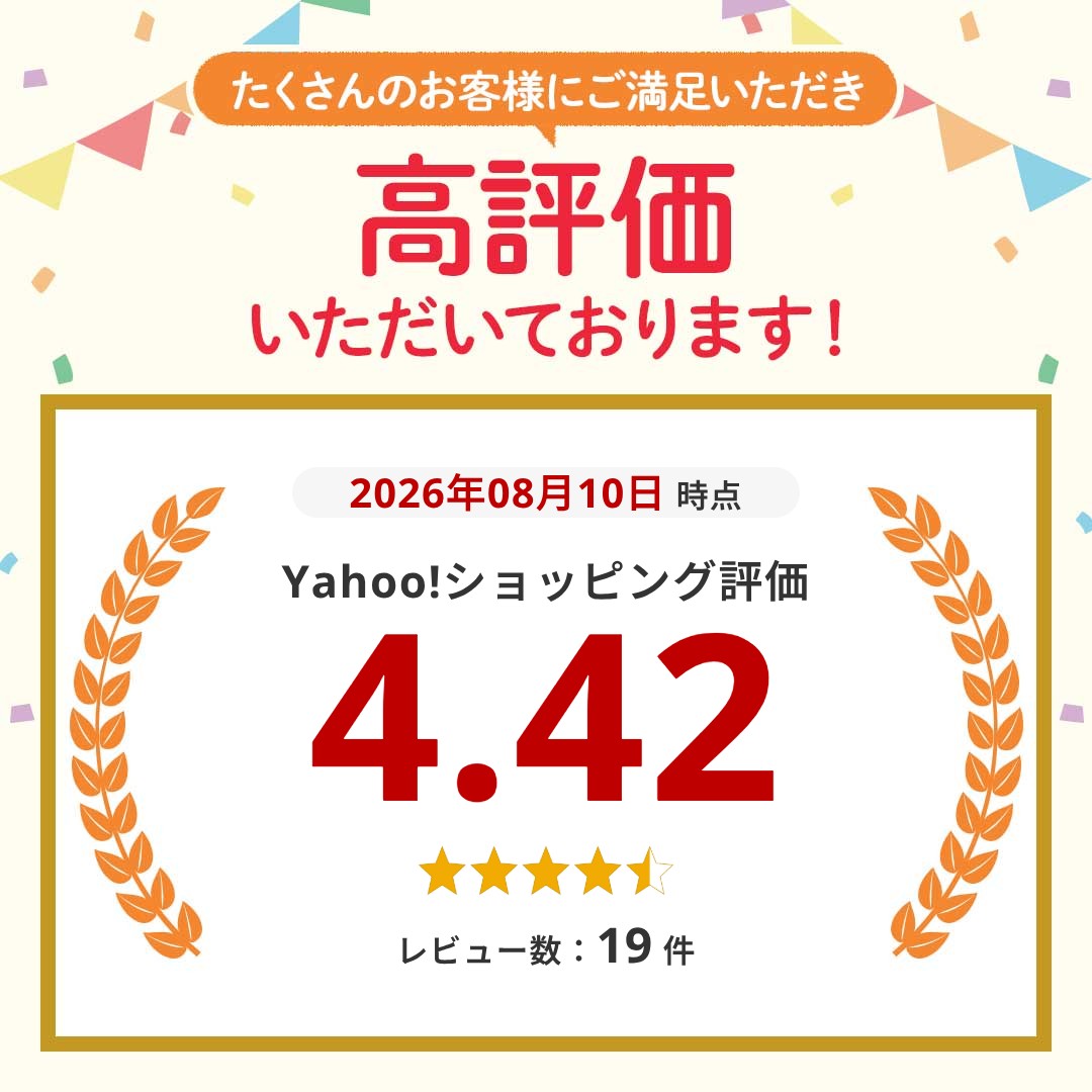 アウトドアチェア 折りたたみ アウトドア チェ...の詳細画像1