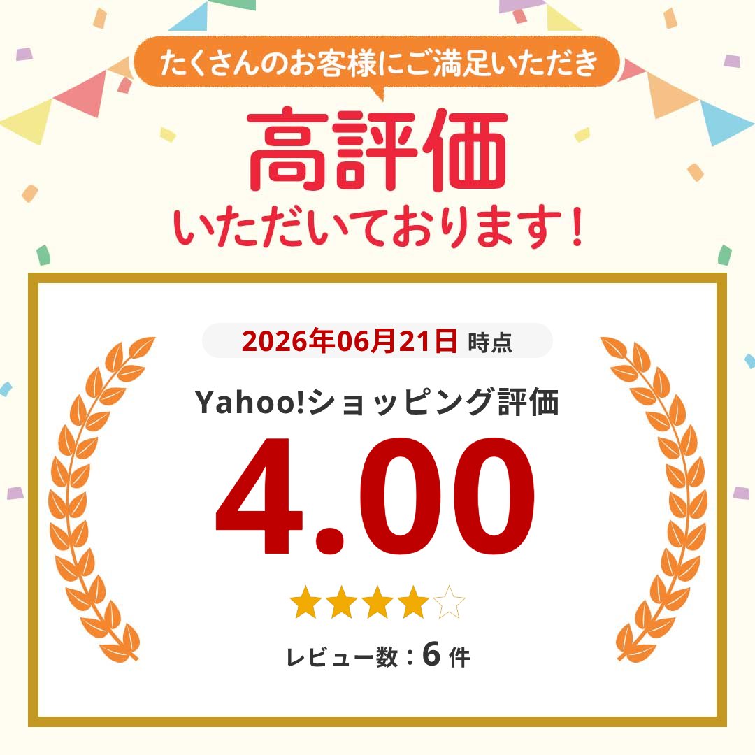 レジャーシート 厚手 クッション 大きい ポンプ アウトドア エアー