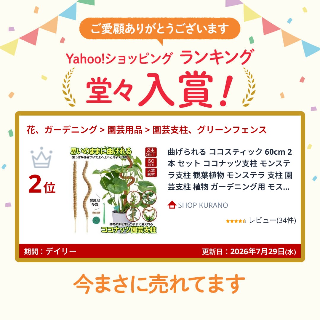 曲げられる ココスティック 60cm 2本 セ...の詳細画像2
