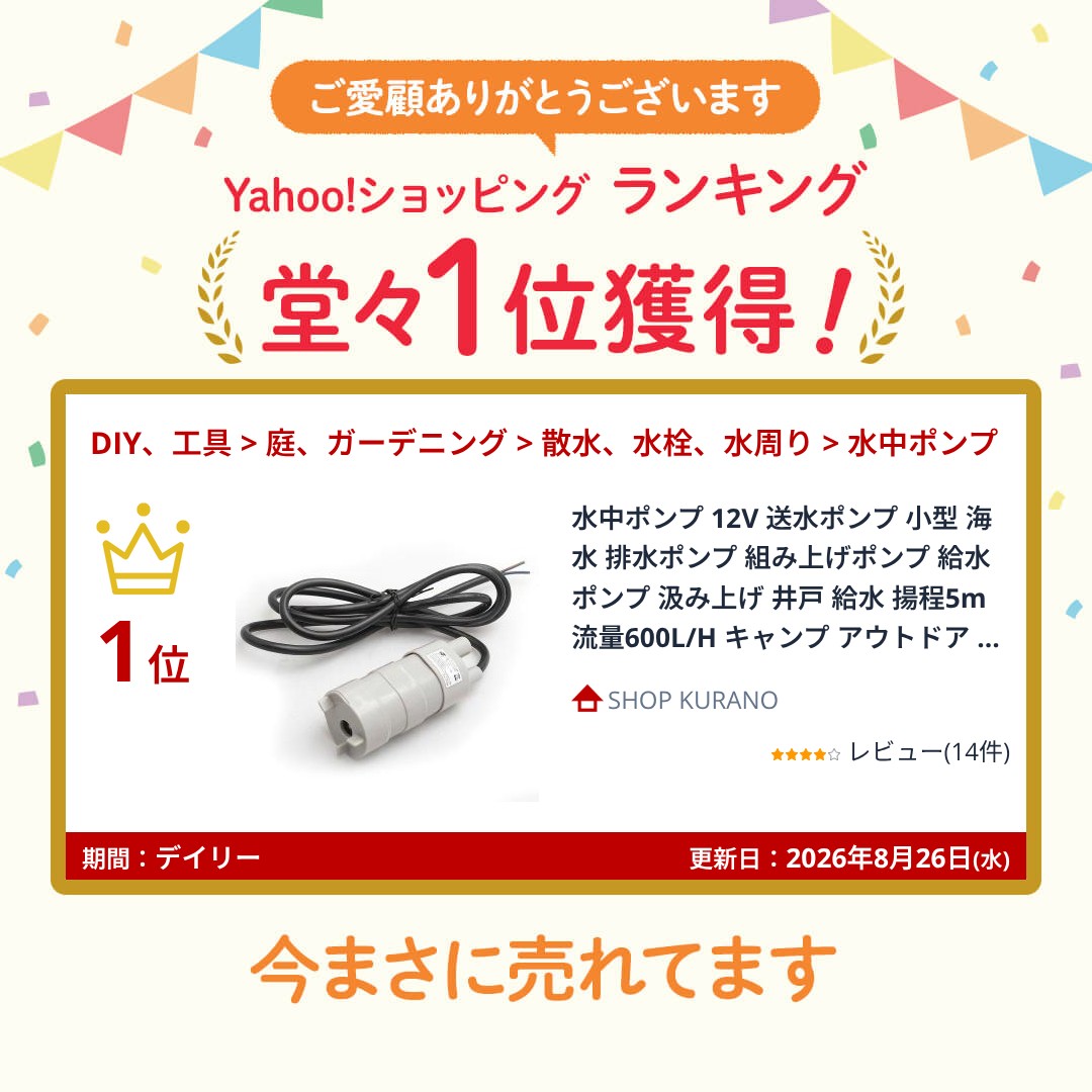 水中ポンプ 12V 送水ポンプ 小型 海水 排...の詳細画像2
