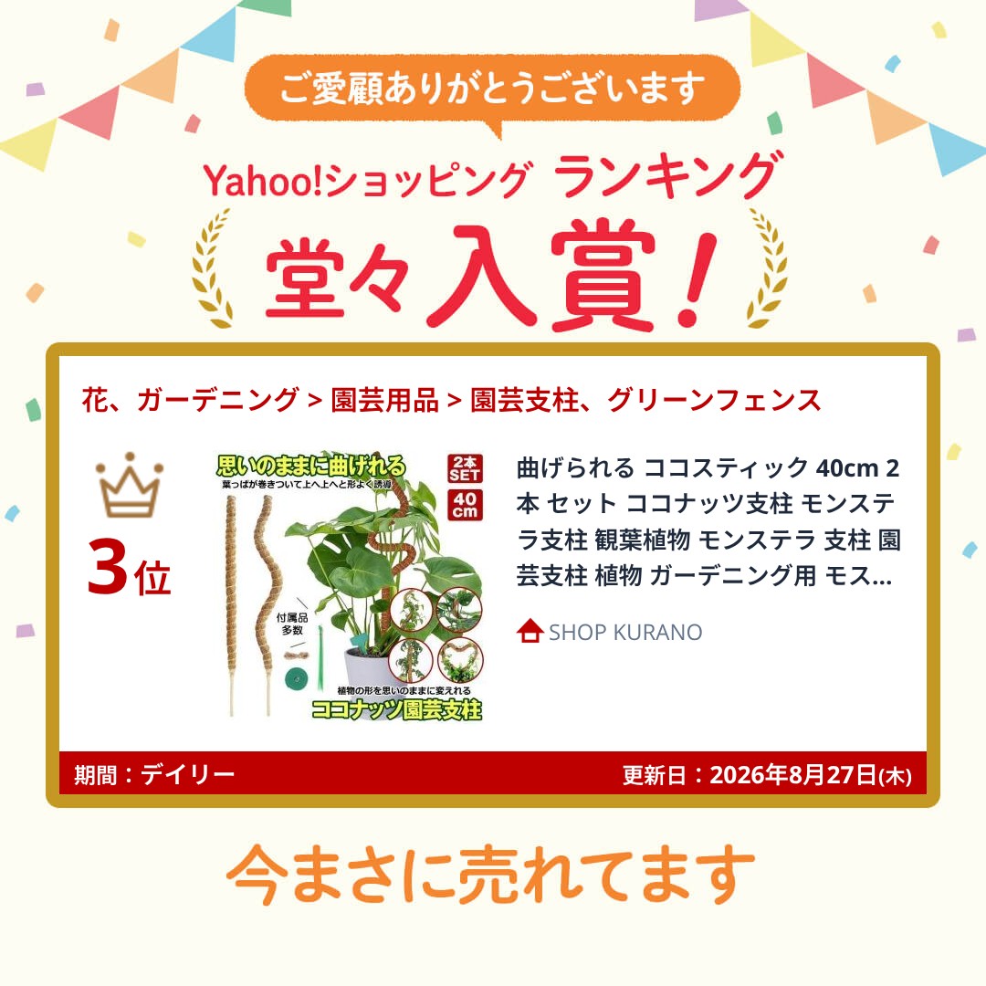 曲げられる ココスティック 40cm 2本 セ...の詳細画像1