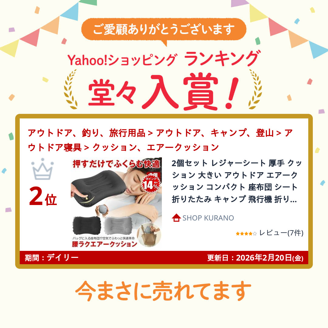 2個セット レジャーシート 厚手 クッション 大きい アウトドア エアー