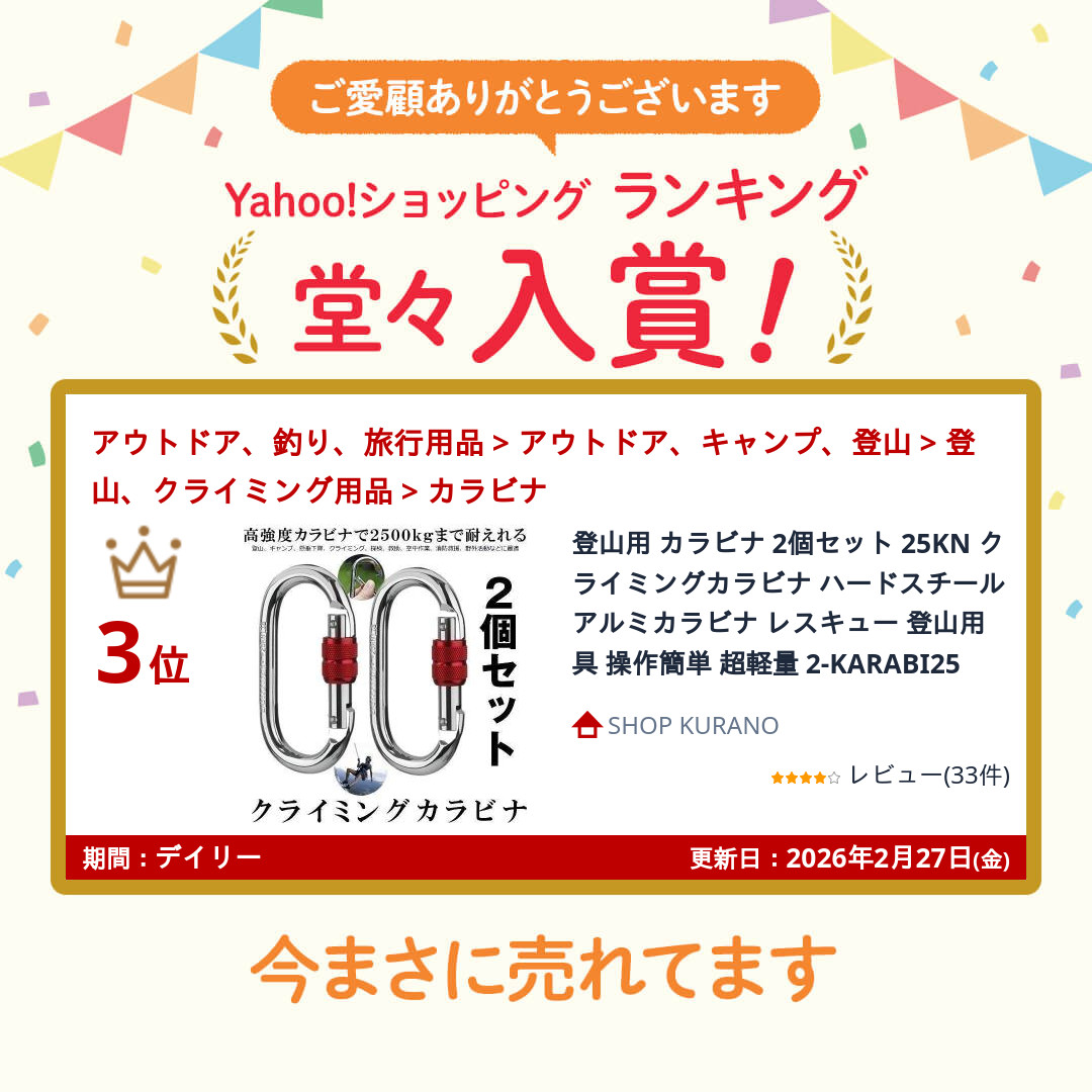 登山用 カラビナ 2個セット 25KN クライミングカラビナ ハードスチール