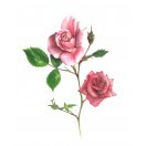 絵を描くお供に