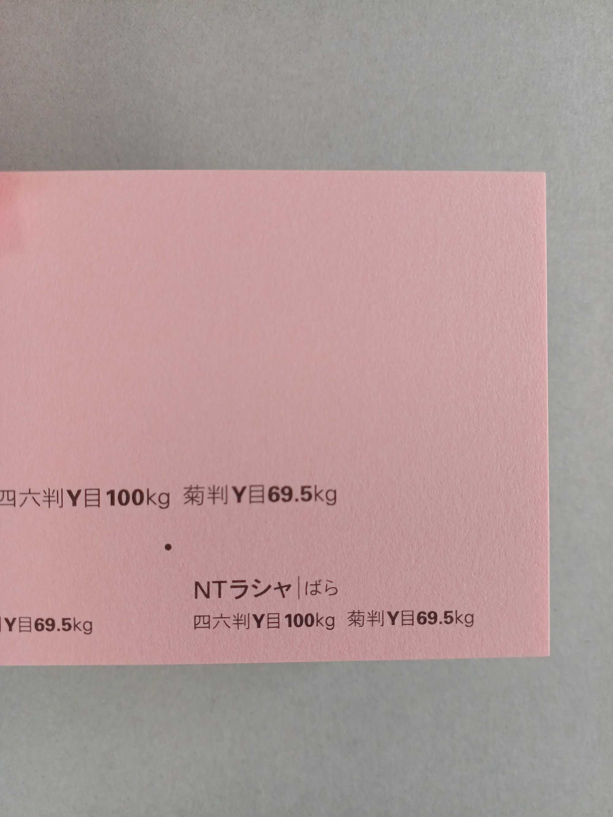 NTラシャ 100kg A4/33枚入 ＜選べる50色＞ 厚さ0.17mm 297mm×210mm