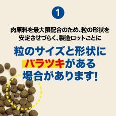 Kiaora キアオラ