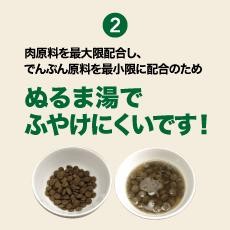 Kiaora キアオラ
