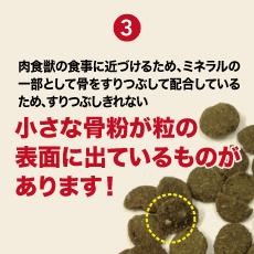 Kiaora キアオラ