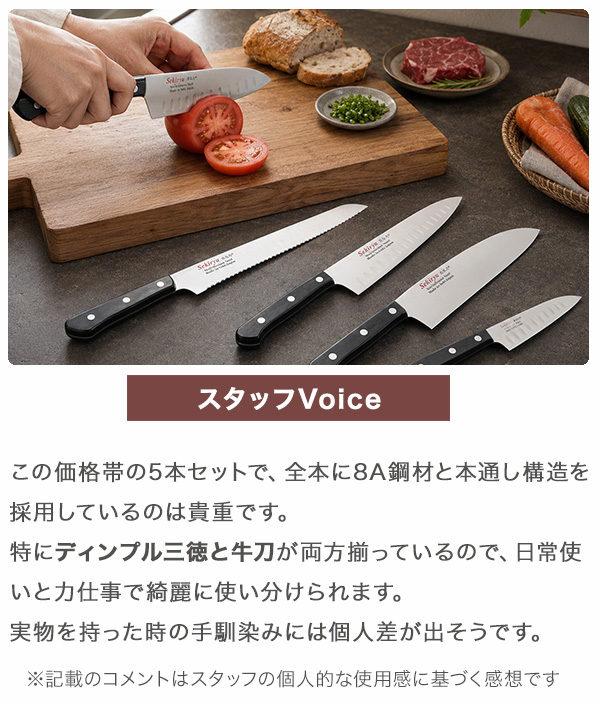 包丁 家庭用 5本セット 日本製 関市 8A鋼材 本通し3本カシメ 積層強化
