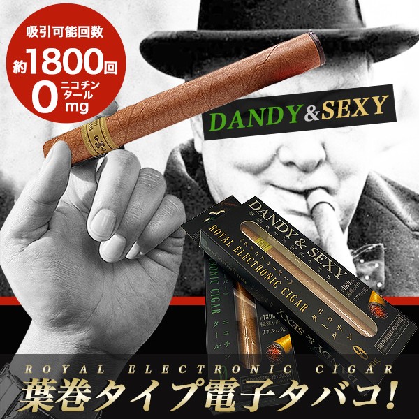 電子タバコ 電子たばこ 葉巻タイプ Dandy Sexy 禁煙グッズ 送料無料 Hz Ech001 ショッピング ラボ 通販 Yahoo ショッピング