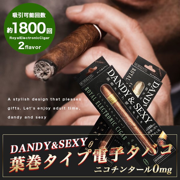 電子タバコ 電子たばこ 葉巻タイプ Dandy Sexy 禁煙グッズ 送料無料 Hz Ech001 Fafe 通販 Yahoo ショッピング