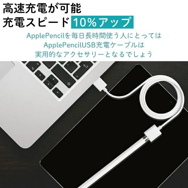   Apple pencil 充電ケーブル 充電 ケーブル アップルペンシル USB 第1世代 第2世代 1M iPad Pro 充電アダプタ 1 2 変換 キャップ カバー ケース