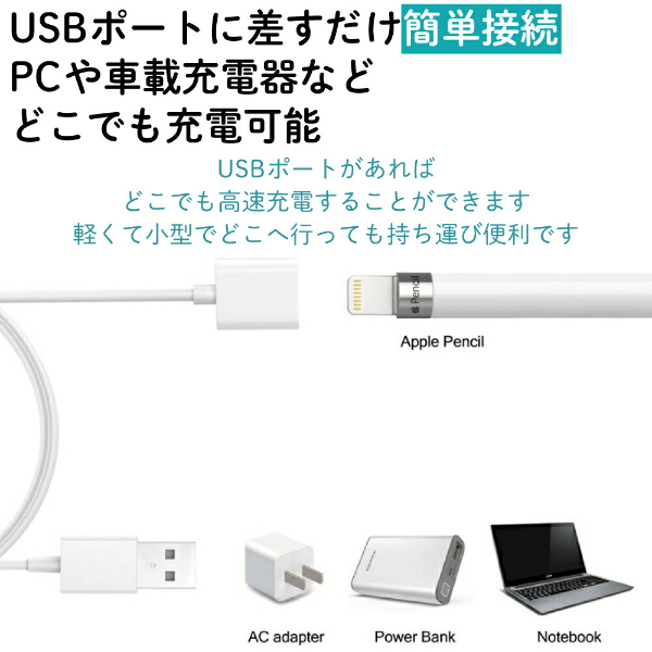   Apple pencil 充電ケーブル 充電 ケーブル アップルペンシル USB 第1世代 第2世代 1M iPad Pro 充電アダプタ 1 2 変換 キャップ カバー ケース