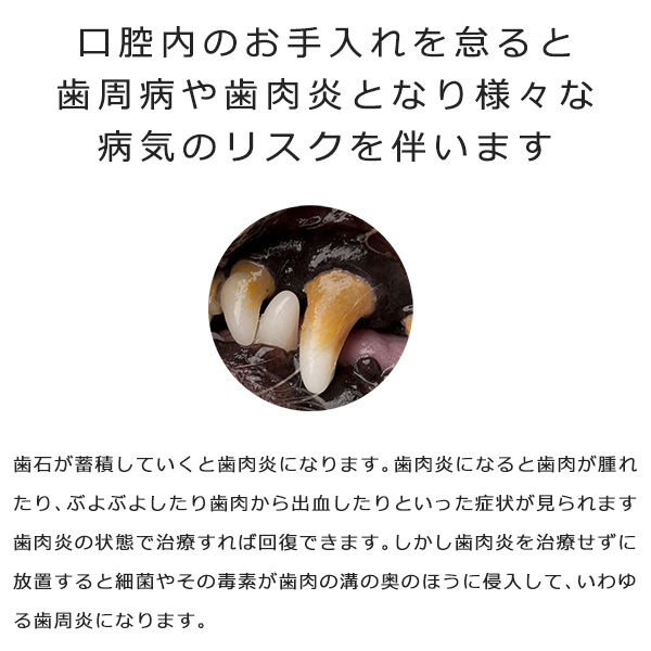 ペット用 スケーラー 歯石 歯石取り 犬 猫 ネコ 歯磨き 安全 口腔ケア