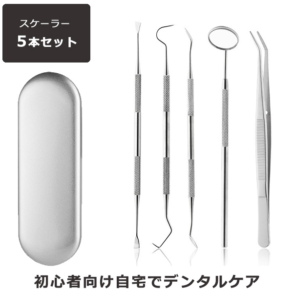 スケーラー 5点セット デンタルケア ケース付き 男女兼用 歯石取り 歯