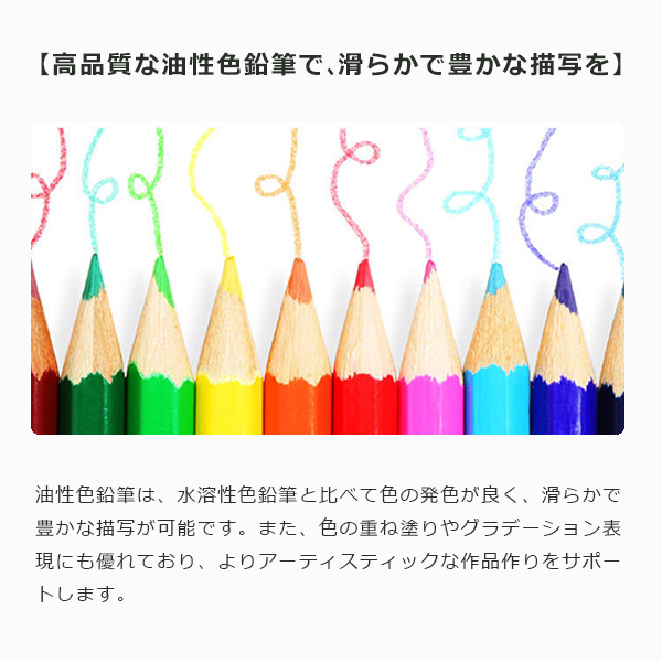 色鉛筆 24色 塗絵 塗り絵 油性 絵具 子供 マンガ 漫画 デッサン