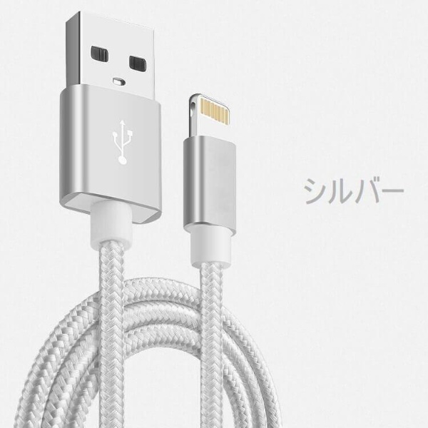 ライトニングケーブル 10本セット iPhone iPad 2m Lightning 充電 充電