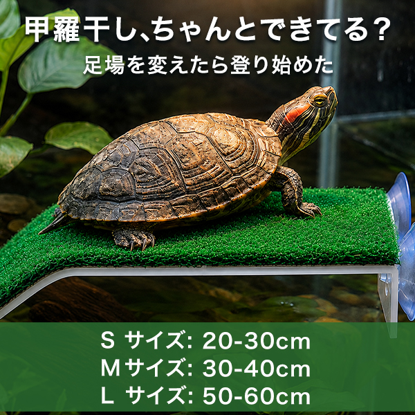浮島 水槽 水槽用 亀 カメ 金魚 熱帯魚 爬虫類 ペット 吸盤 日光浴