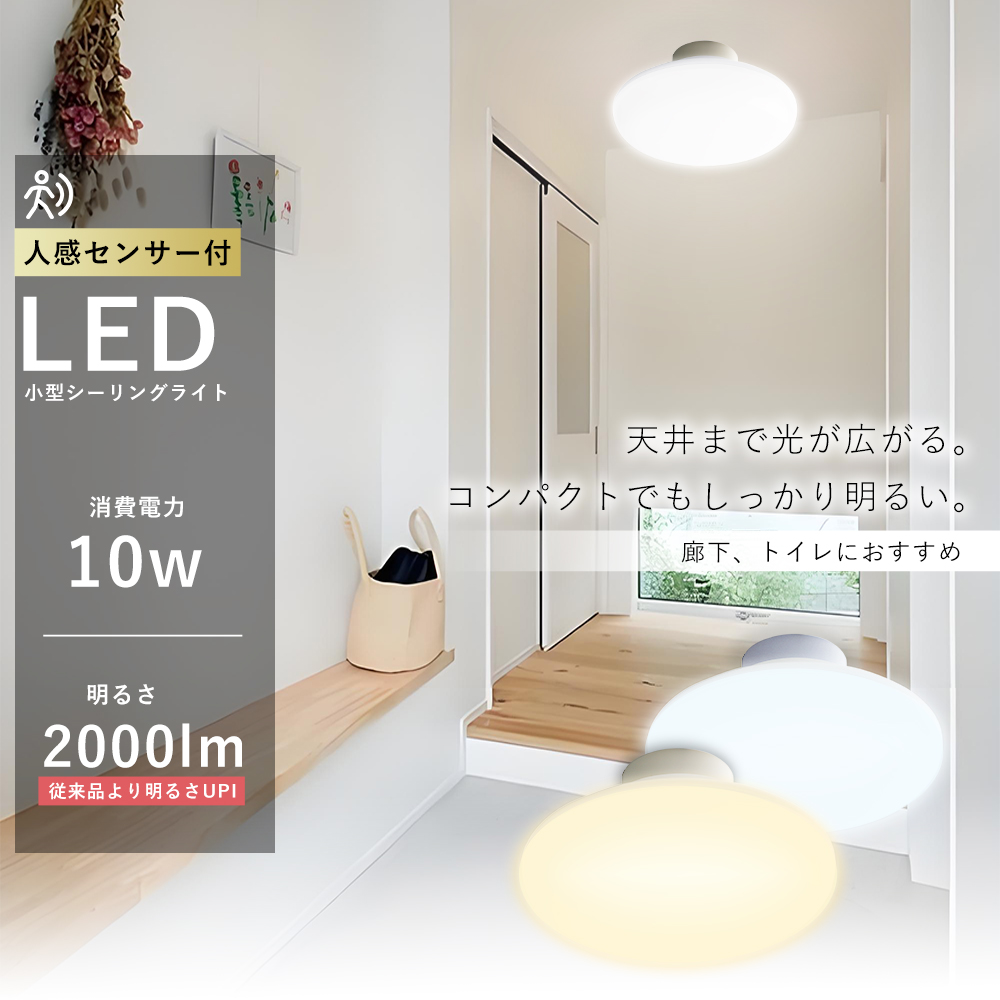 屋内　シーリング　人感センサ付　湯白色 シーリングライト LED 人感センサー ライト 屋内 室内 コンパクト 小型