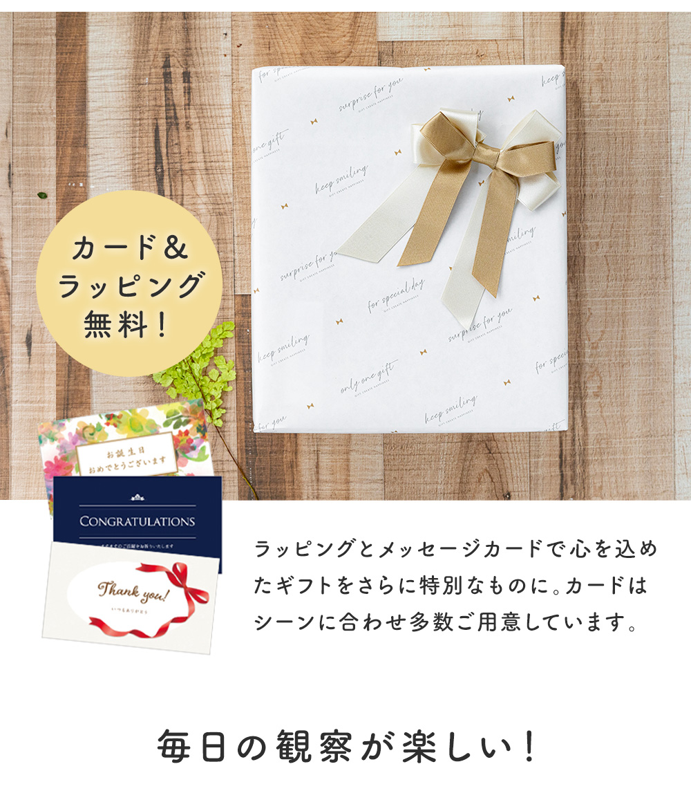 テンポドロップ ストームグラス