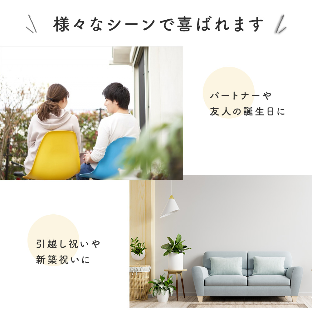 テンポドロップ ストームグラス