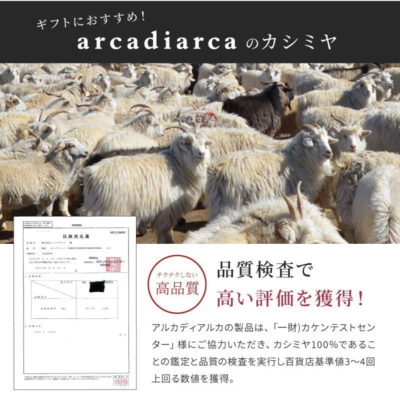 手袋 レディース カシミヤ カシミヤ100％ カシミア 女性 プレゼント グローブ 女性 友達 アルカディアルカ arcadiarca 防寒 クリスマス プレゼント 即日発送