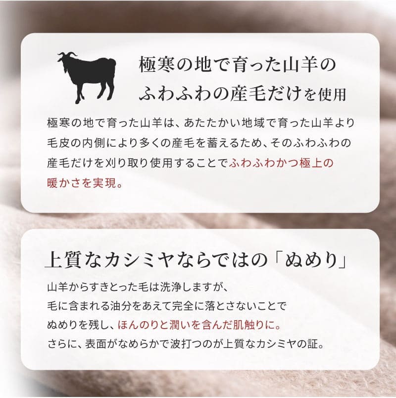 手袋 レディース カシミヤ カシミヤ100％ カシミア 女性 プレゼント グローブ 女性 友達 アルカディアルカ arcadiarca 防寒 クリスマス プレゼント 即日発送